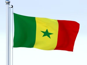 animated senegal flag 3D Model