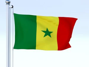 animated senegal flag 3D Model