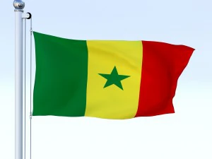 animated senegal flag 3D Model