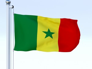 animated senegal flag 3D 모델