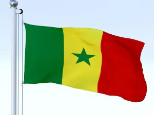 animated senegal flag 3D Model
