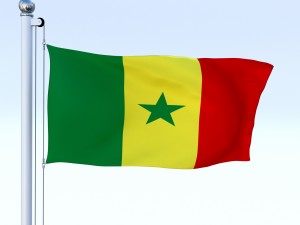animated senegal flag 3D 모델