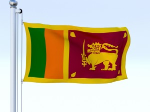 animated sri lanka flag 3D Модель