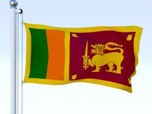 animated sri lanka flag 3D Модель