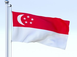 animated singapore flag 3Dモデル