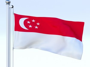 animated singapore flag 3D मॉडल