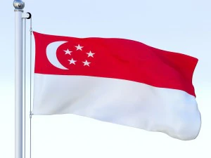 animated singapore flag 3D Model