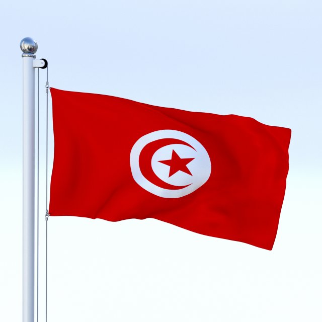 animated tunisia flag 3D मॉडल .c4d .max .obj .3ds .fbx .stl .blend 