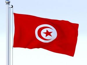 animated tunisia flag 3D Model