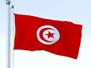 анимированный флаг Туниса 3D Модель