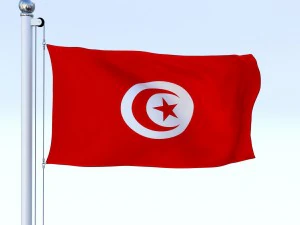 animated tunisia flag 3D Model