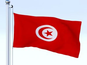animated tunisia flag 3D Model
