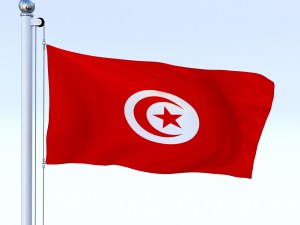 animated tunisia flag 3D मॉडल
