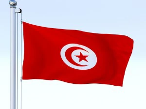 animated tunisia flag 3D Model