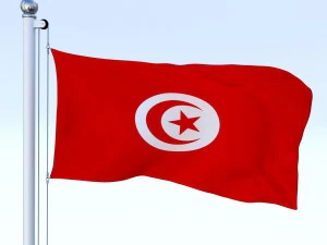 animated tunisia flag 3D Model