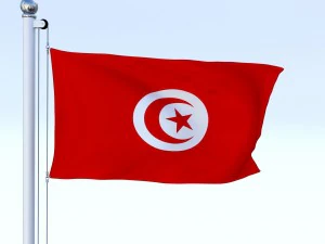 animated tunisia flag 3D Model