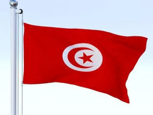 animated tunisia flag 3D Model