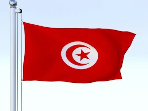 animated tunisia flag 3D Model