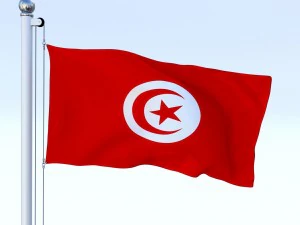 animated tunisia flag 3D Model
