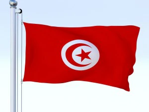 animated tunisia flag 3D Model