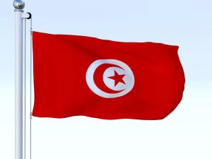 animated tunisia flag 3D Model