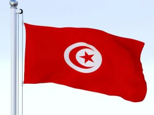 animated tunisia flag 3D Model