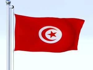 animated tunisia flag 3D Model