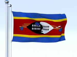 animated swaziland flag 3D Model