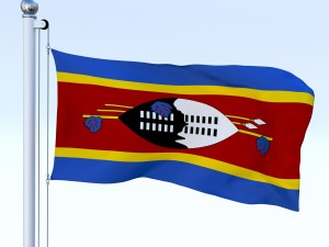 animated swaziland flag 3D Model