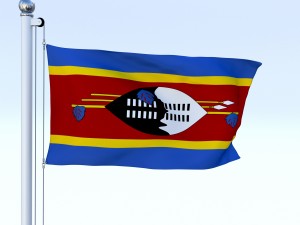 animated swaziland flag 3D Model