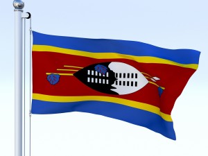 animated swaziland flag 3D Model