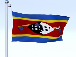animated swaziland flag 3D Model