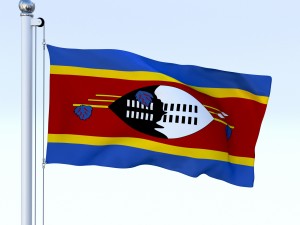 animated swaziland flag 3D Model