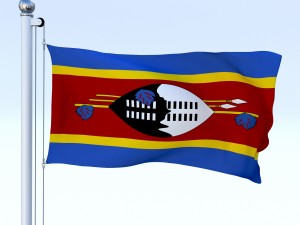 animated swaziland flag 3D Model