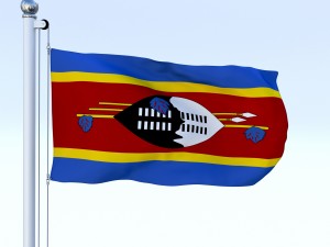 animated swaziland flag 3D Model