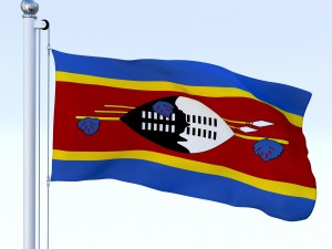 animated swaziland flag 3D Model