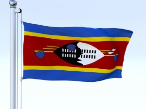 animated swaziland flag 3D Model
