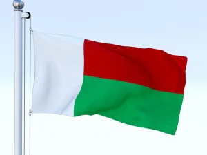 bandeira animada de Madagascar Modelo 3D