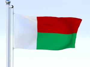 animated madagascar flag 3D Model