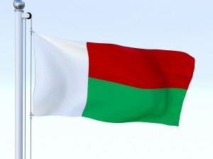 animated madagascar flag 3D Model