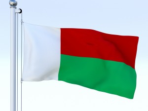 animated madagascar flag 3D Model
