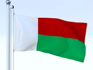 animated madagascar flag 3D Model