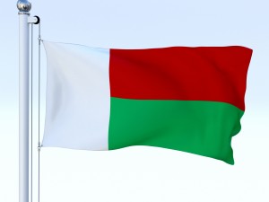 animated madagascar flag 3D Model
