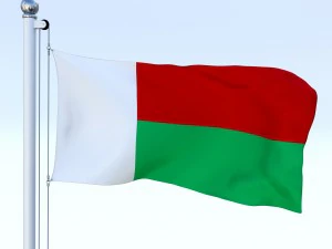 animated madagascar flag 3D Model