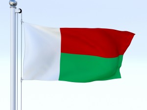 animated madagascar flag 3D Model