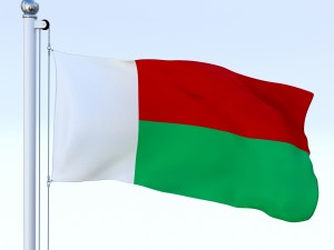 animated madagascar flag 3D Model