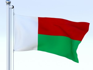 animated madagascar flag 3D Model