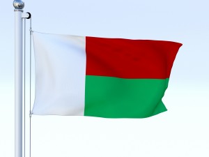 animated madagascar flag 3D Model