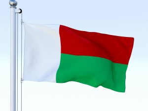 animated madagascar flag 3D Model