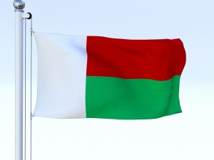animated madagascar flag 3D Model